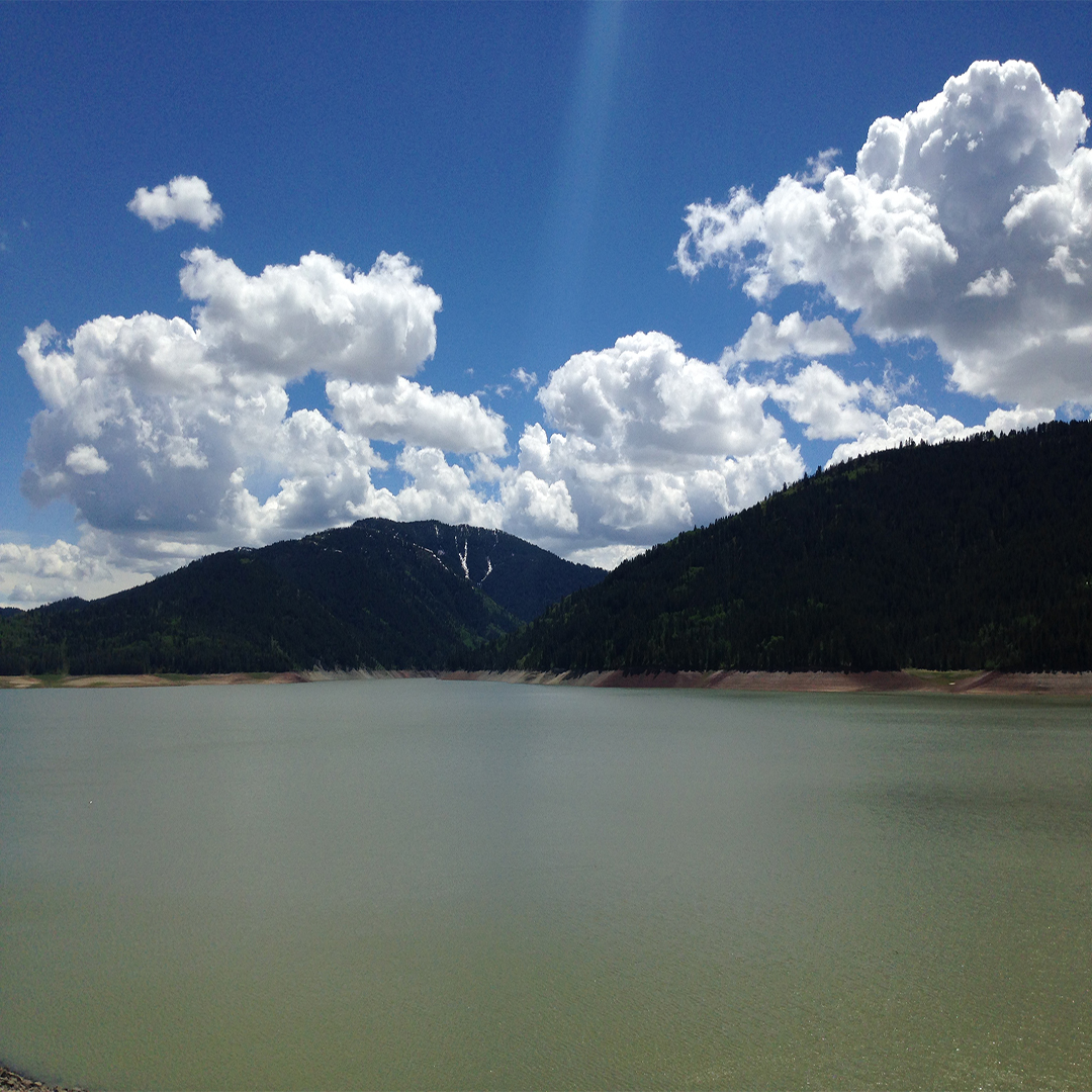 Palisades Reservoir Best Places to Hammock