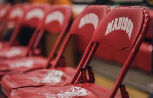 bobcat bench