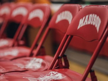 bobcat bench