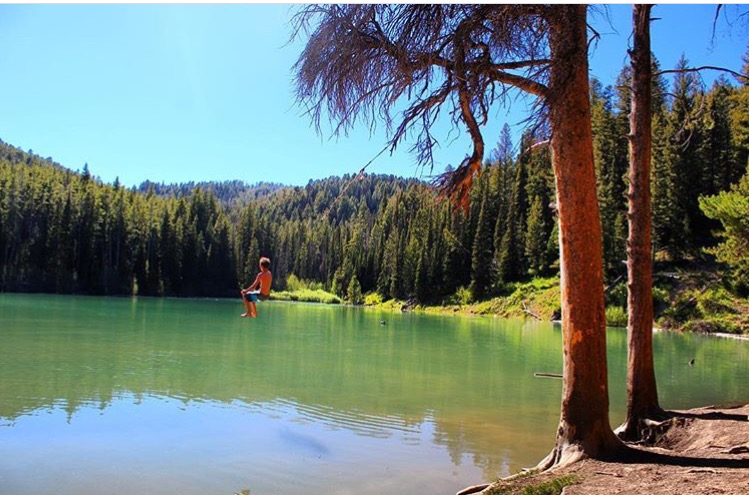 Packsaddle Lake Swimming