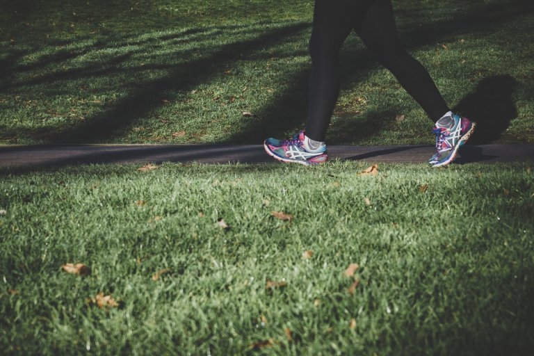 Join us for a walk in the park this Saturday at Porter Park!