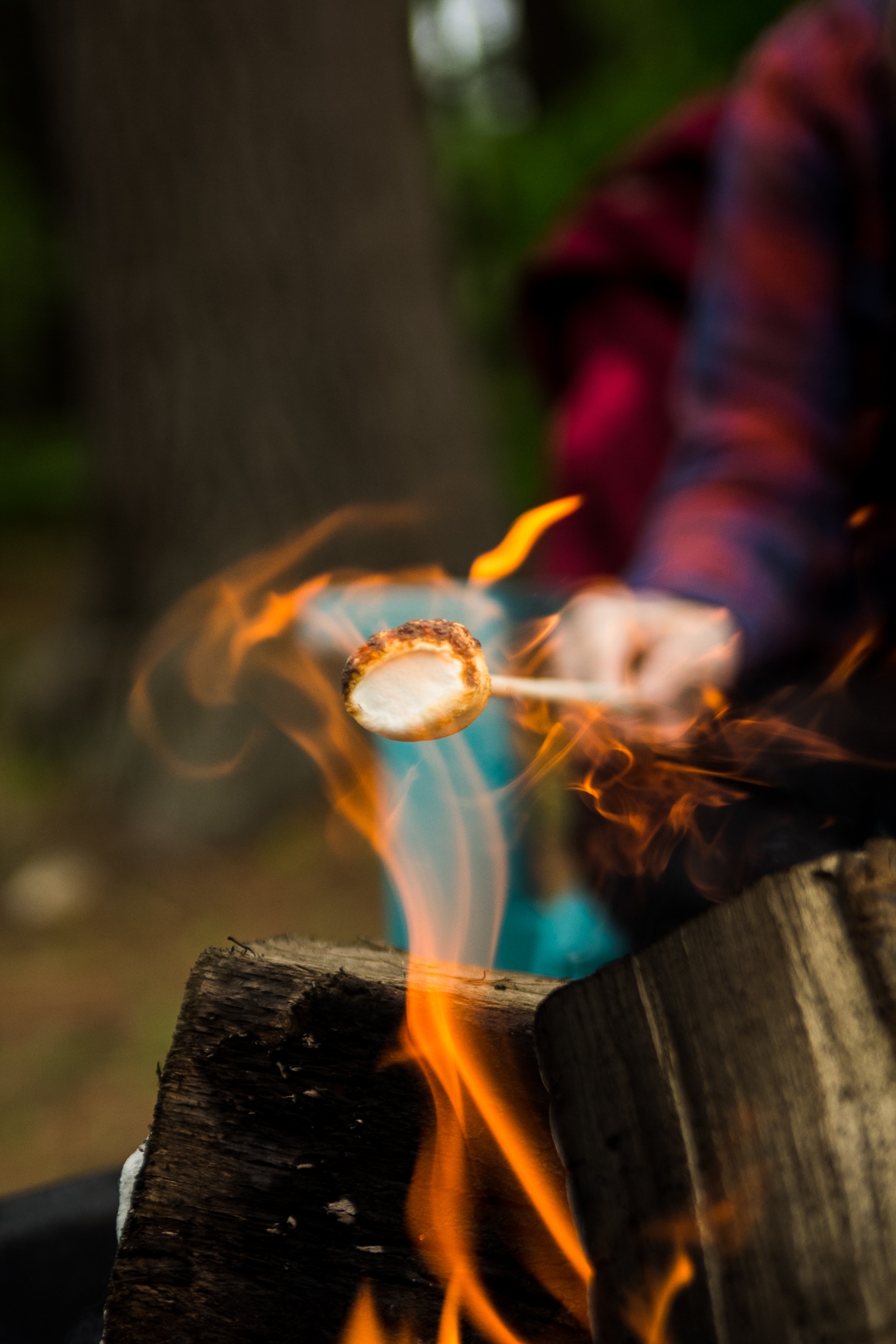 We present to you the summer guide for making s'mores.