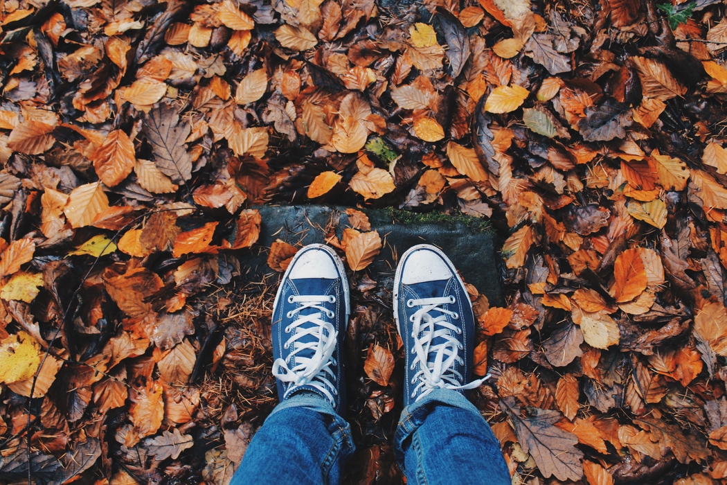 There are plenty of fun fall festivities in Rexburg.