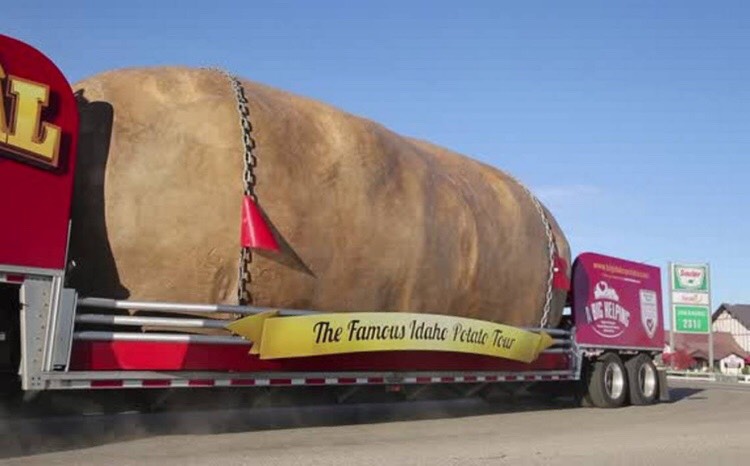 spud week
