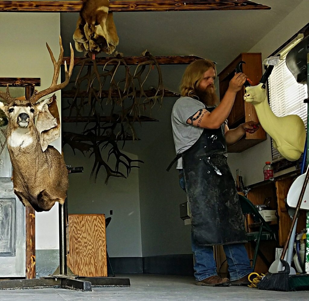 Is there a market for taxidermy image