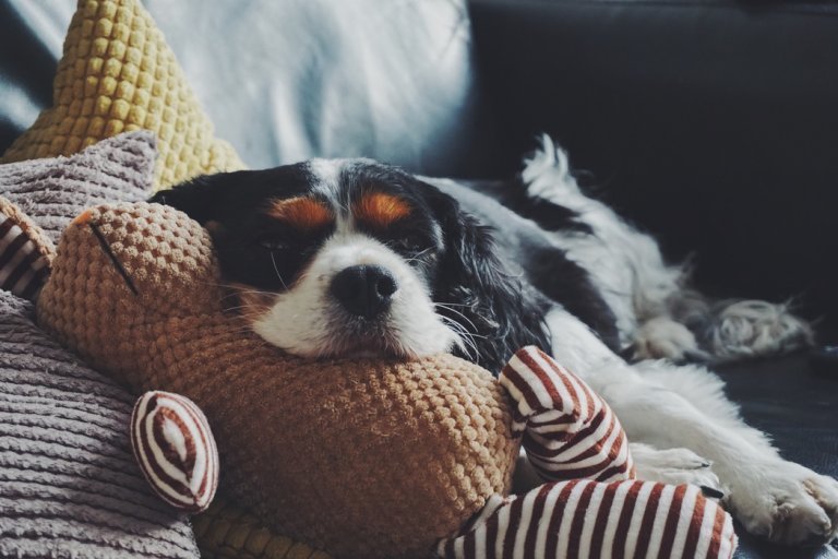 Snuggling is a great method of self-care during the winter.