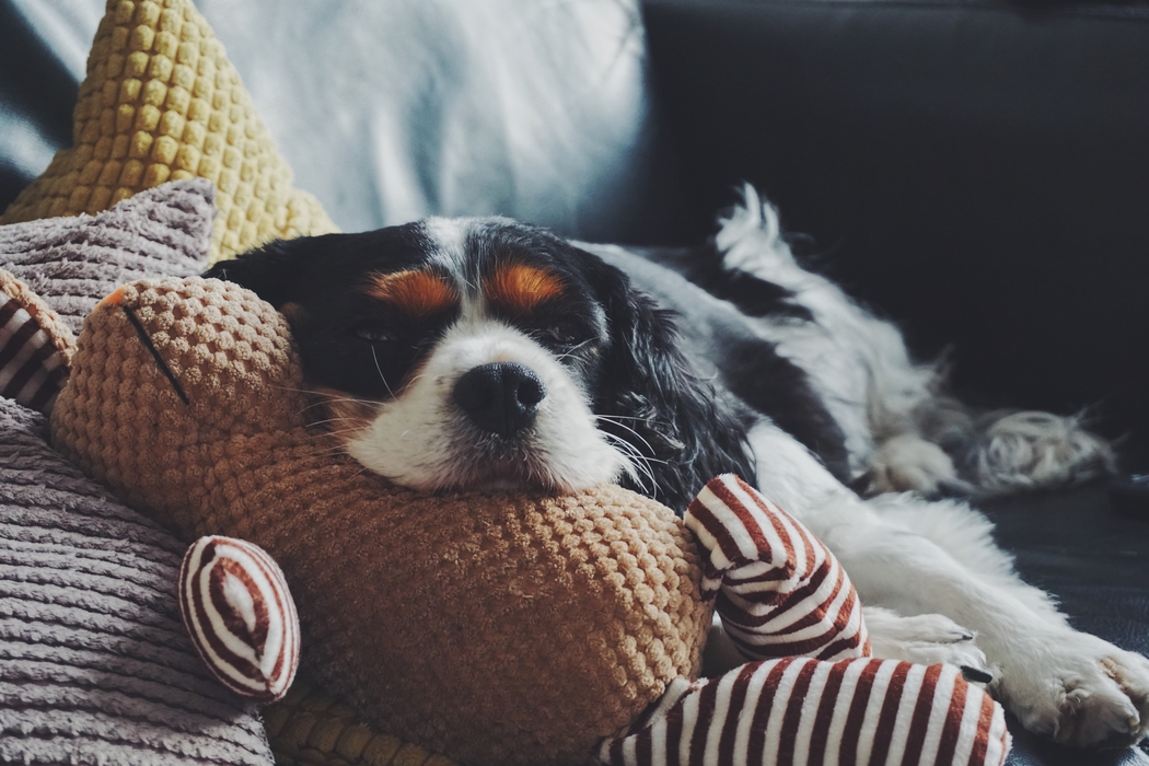 Snuggling is a great method of self-care during the winter.