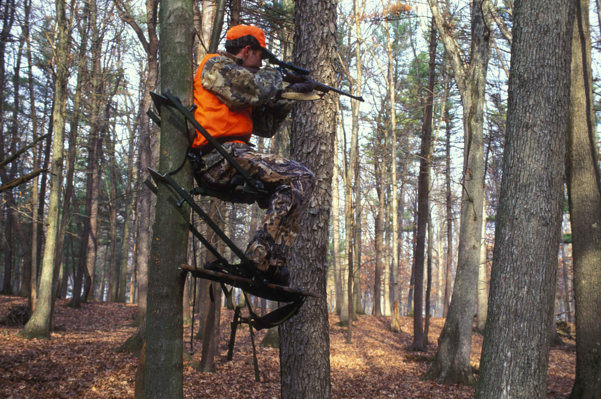 Hunting requires that you know safety rules and regulations.