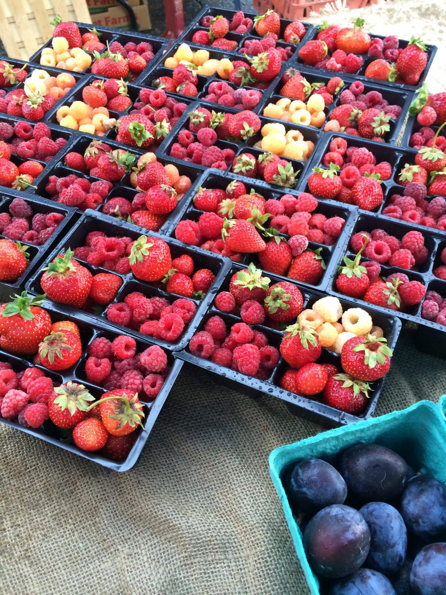 Strawberries at the Rexburg Farmer's Market