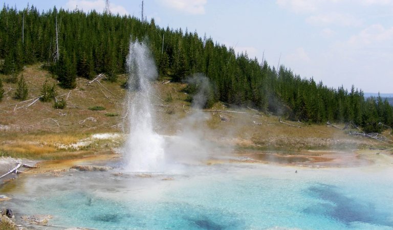 Your Ultimate Trip to Yellowstone National Park