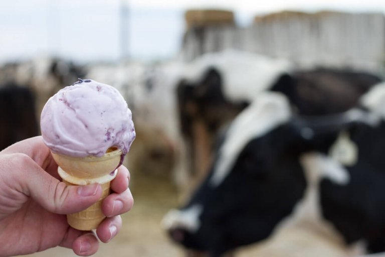 Reed's Dairy provides farmfresh ice cream Explore Rexburg