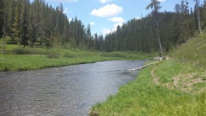 Warm River in Southeast Idaho has a great biking trail