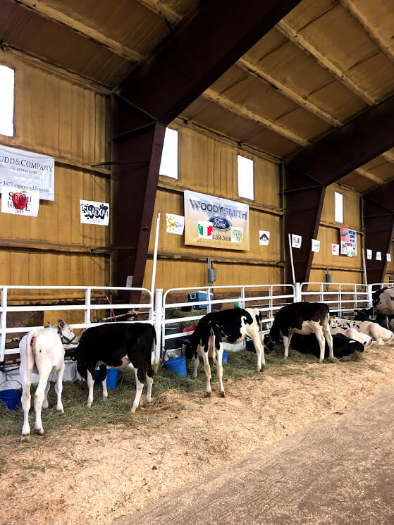 Madison County Fair