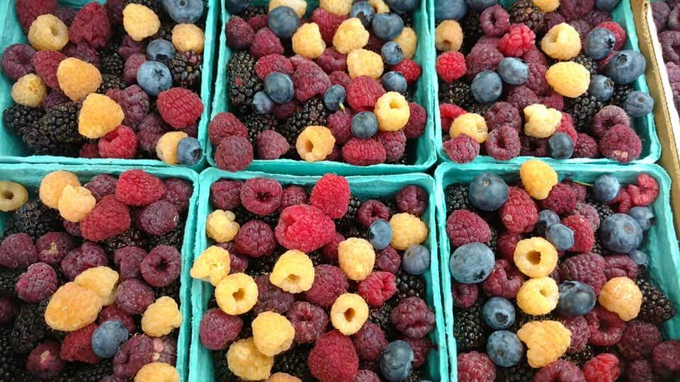 Idaho Falls Farmer's Market