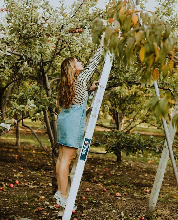 Apple picking is one of the great fall date ideas