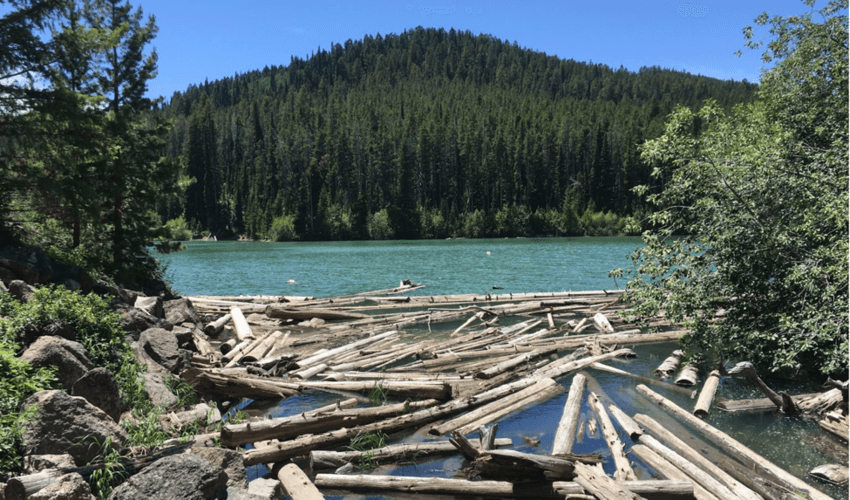 Packsaddle Lake