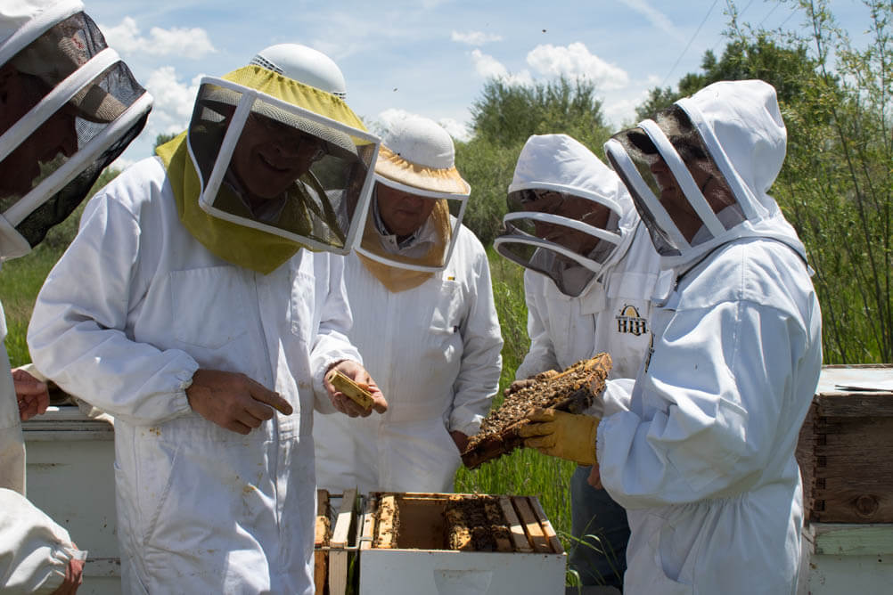 Students learning beekeeping