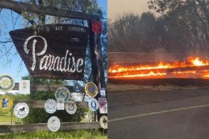 Paradise Online Auction Fires