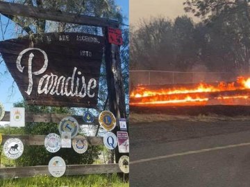 Paradise Online Auction Fires