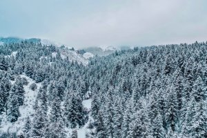 Rexburg Snow