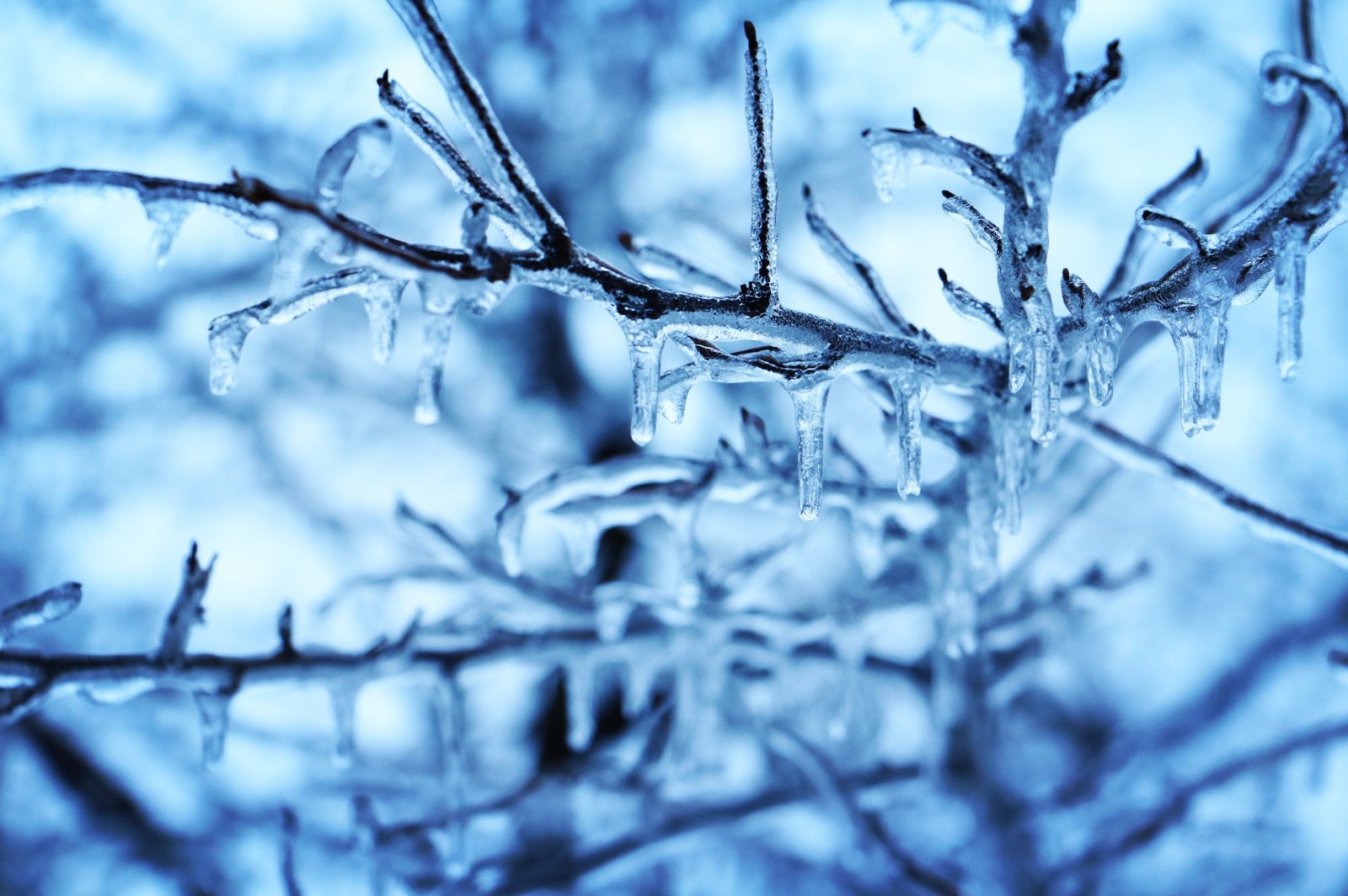 October 2019 Precipitation Weather Summary Explore Rexburg