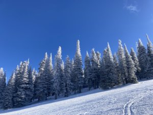winter