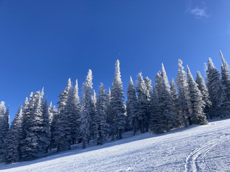 winter