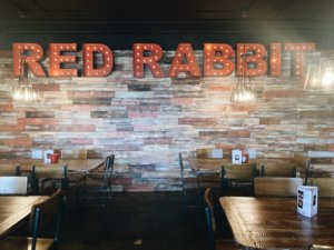 red rabbit